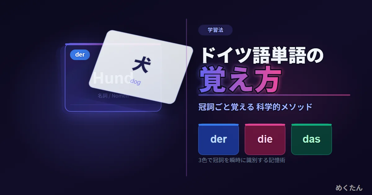 ドイツ語単語の覚え方コツ7選｜冠詞ごと覚える科学的メソッド